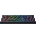 Razer Cynosa V2 RZ03-03400100-R3M1 – Hledejceny.cz