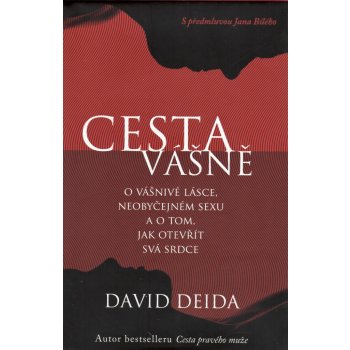 Cesta vášně David Deida