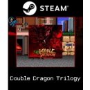 Hra na PC Double Dragon Trilogy