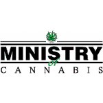 Ministry of Cannabis Auto Blueberry Domina semena neobsahují THC 5 ks – Zboží Mobilmania