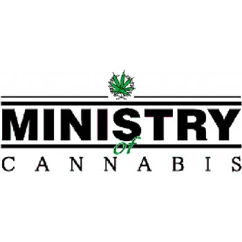 Ministry of Cannabis Auto Cheese NL semena neobsahují THC 2 ks