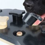 Trixie Dog Activity GaME BONE 31 x 20 cm – Hledejceny.cz