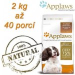 Applaws Dog Adult Small Medium Breed Chicken 2 kg – Hledejceny.cz