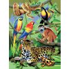 Malování podle čísla Royal Langnickel Malování podle čísel 22x30 cm - Džungle