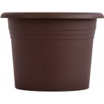 obal d25cm Narcis Čoko – Hledejceny.cz
