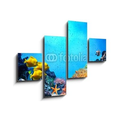 Obraz 4D čtyřdílný - 120 x 90 cm - Underwater scene. Coral reef, fish groups in clear ocean water Podvodní scéna. Korálový útes, rybí skupiny v čisté mořské vodě – Hledejceny.cz