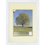 24x30 | Rámeček Kasette ECO bílá SKLO antireflex [BN] – Zboží Živě