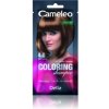 Barva na vlasy Delia Cameleo tonovací šampon 4,0 BROWN