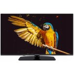 GoGEN TVF 40M340 STWEB – Zboží Živě