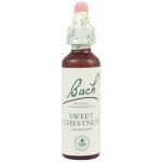 Bachovy květové esence Kaštan jedlý Sweet Chestnut 20 ml – Hledejceny.cz
