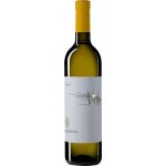 Tenuta I Fauri Passerina Colline Teatine 2023 12,5% 0,75 l (holá láhev) – Hledejceny.cz