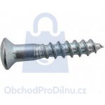 Vrut do dřeva s čočkovou hlavou a křížovou drážkou PZ, částečný závit, nerez A2 5 x 40, balení 500 ks – Zboží Mobilmania