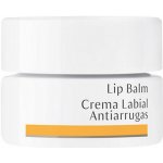 Dr, Hauschka Lip Balm 4,5 ml – Zboží Dáma