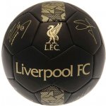 Fan shop Mini Liverpool FC Signature – Zboží Mobilmania