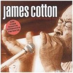 Cotton James - Best Of The Vanguard Years CD – Hledejceny.cz
