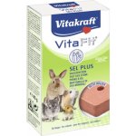 Vitakraft Vita Fit Solný kámen pro hlodavce 40 g – Zboží Dáma