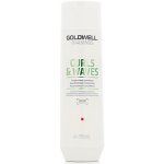 Goldwell Dualsenses Curls & Waves šampon pro kudrnaté a vlnité vlasy 250 ml – Hledejceny.cz