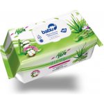 Fresh Air Vlhčené Ubrousky Aloe Vera 100 ks – Zboží Dáma