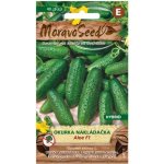 Okurka nakládačka ALOE F1