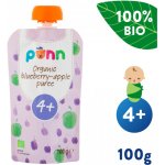 Salvest Põnn Bio Jablko s borůvkami 100 g – Zboží Mobilmania