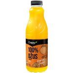 Cappy Pulpy Pomeranč 1 l – Zboží Dáma