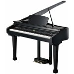 Kurzweil KAG100 – Zboží Dáma