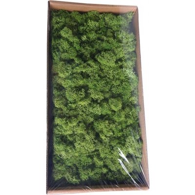 Islandský stabilizovaný, preparovaný mech 500 g mechově zelená – Zboží Dáma