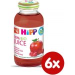 HiPP BIO Jablečno-malinová 6 x 200 ml – Sleviste.cz