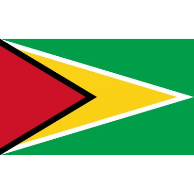 Guyana vlaječka - 11 x 16 cm - nasunutí, zavěšení – Hledejceny.cz