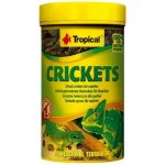 Tropical Crickets 100 ml – Zboží Dáma