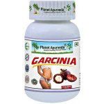 Planet Ayurveda Garcinia extrakt 5:1 500 mg 60 kapslí – Hledejceny.cz