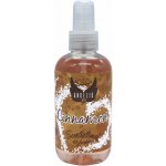 Devils Detail v rozprašovači CINAMON - Angelic Air 200 ml – Hledejceny.cz