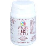SinoPlaSan Vitamin B12 FORTE 500 μg Methylcobalamin 60 kapsli – Hledejceny.cz