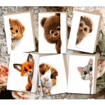 Blahopřání s obálkou – VYKUKUJÍCÍ ZVÍŘÁTKA Druhy: Ježek – Sleviste.cz