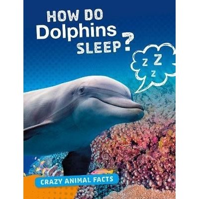 How Do Dolphins Sleep?