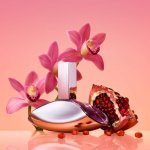 Calvin Klein Euphoria parfémovaná voda dámská 100 ml – Zboží Dáma