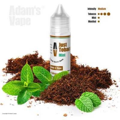 Adams Vape Shake & Vape Just Tobacco Mint 10 ml – Zboží Mobilmania