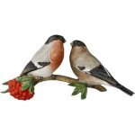 Goebel Figurka Pár hýlů Singvögel – Hledejceny.cz