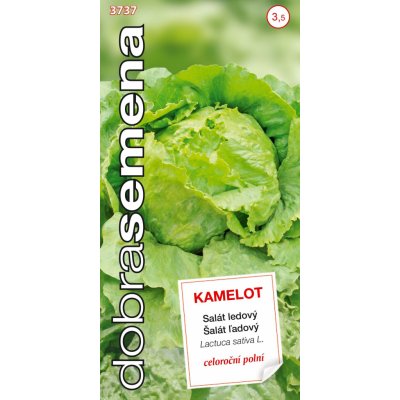 Dobrá semena Salát celoroční ledový - Kamelot 0,4g – Hledejceny.cz