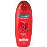Palmolive Naturals Brilliant Color šampon 350 ml – Sleviste.cz