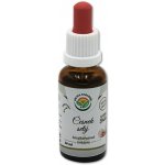 Salvia Paradise Česnek setý AF tinktura 30 ml – Hledejceny.cz