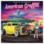 2 Various - Music That Inspired American Graffiti LP – Hledejceny.cz