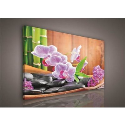 Obraz na plátně orchidej s kameny 106O1, 100 x 75 cm, IMPOL TRADE – Zboží Mobilmania