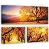Obraz Postershop Obraz na plátně: Podzimní stromy - set 1ks 80x30 cm a 3ks 37,5x24,8 cm