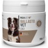 Vitamíny pro psa Reavet BallastoVET rychlá pomoc při zácpě u psů 250 g