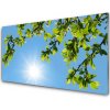 Obraz akrylový obraz Slunce Příroda 100x50 cm