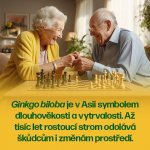 Walmark Ginkoprim Max 60 tablet – Hledejceny.cz