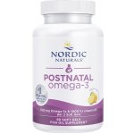 Nordic Naturals Postnatální Omega 3 60 softgel kapslí – Hledejceny.cz
