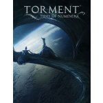 Torment: Tides of Numenera – Zboží Živě