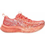 Asics Noosa Tri 16 1012b675-700 – Sleviste.cz